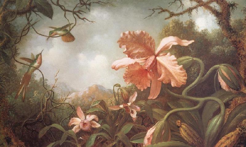 Martin Johnson Heade The Hummingbirds and Two Varieties of Orchids Germany oil painting art
